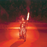 At the Circus