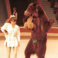 At the Circus