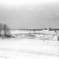 Steppe