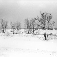 Steppe