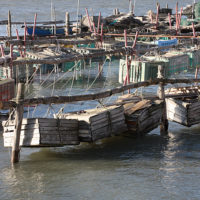 Chioggia