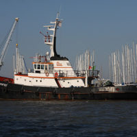 Chioggia