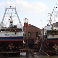 Chioggia