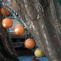 Chioggia