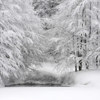 Tempesta di neve