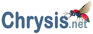 Chrysis.net