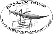 Cerca nel Forum Entomologi Italiani Chrysura ignifrons