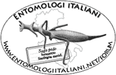 Search Chrysis.net Forum for Chrysis paglianoi 