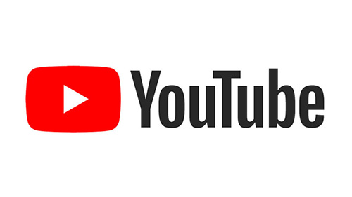 Search Youtube for Chrysis paglianoi 